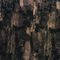 সজ্জিত ফ্যাব্রিক জ্যাকার্ড টিসি সুতা রঙ্গিন বিমূর্ত এইচ / আর 21.0 সেমি 470T / 74% টি / 26% সি / 175gsm